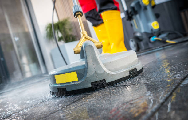 Local Pressure Washing Services in Arabi, LA