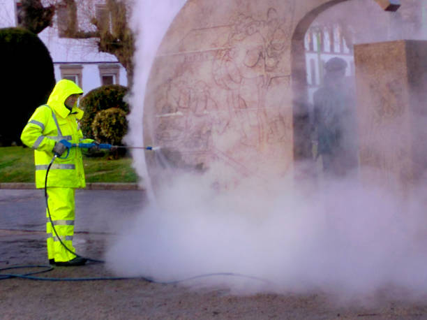 Best Roof Pressure Washing  in Arabi, LA